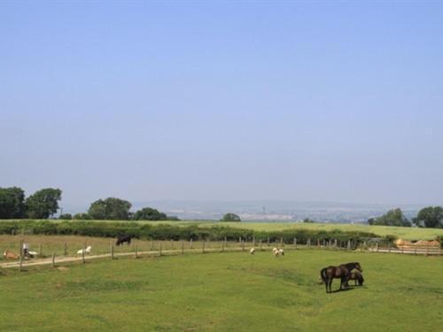 Lily Hill Farm Barnard Castle Exterior foto